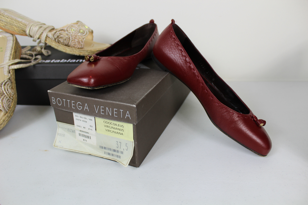 Collection of Women's Designer Flats