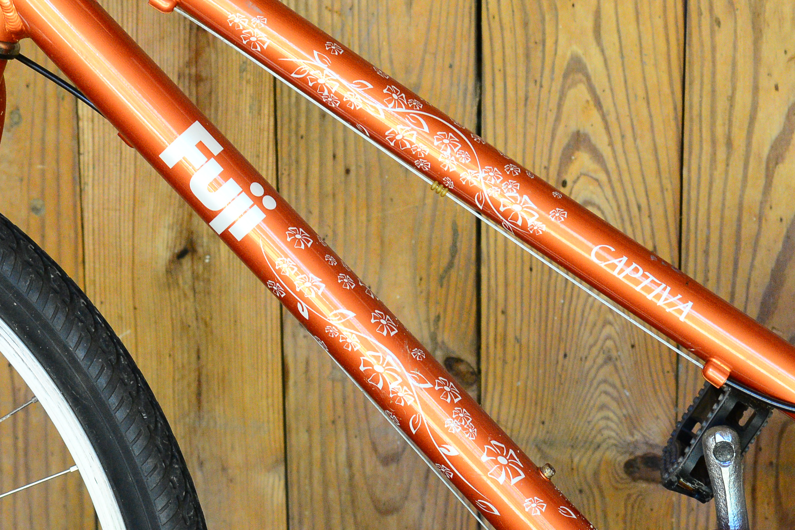 Women's Fuji Captiva Bicycle