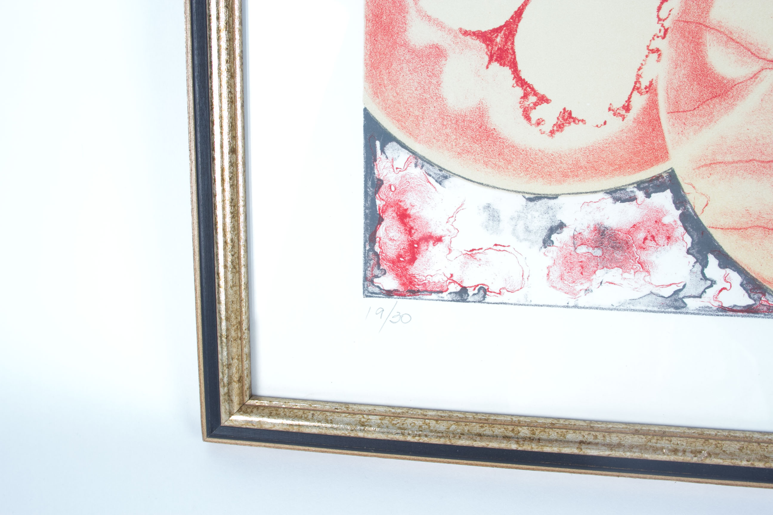 Cecilia M. T.  Suzuki "Uveites" Screen Print