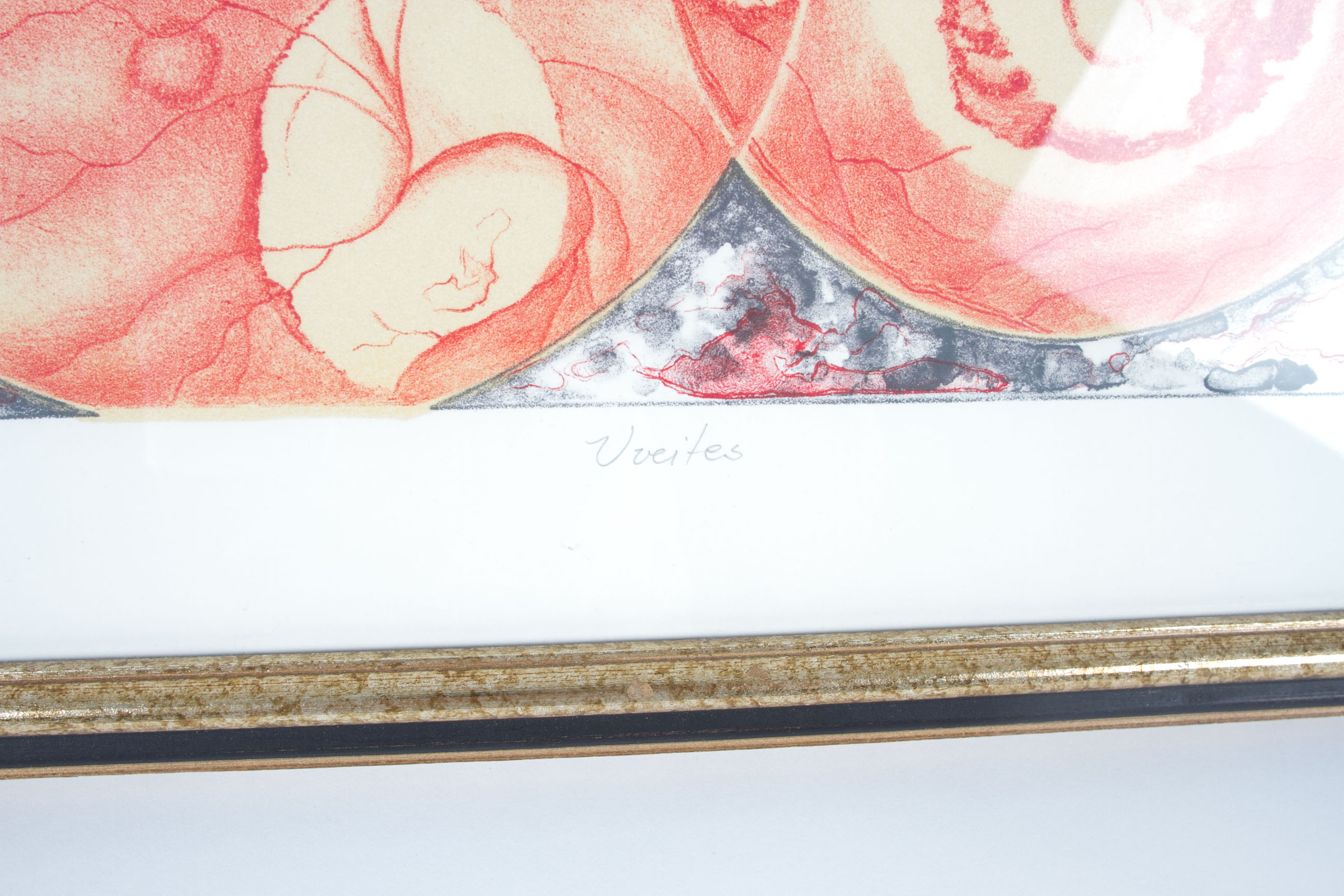 Cecilia M. T.  Suzuki "Uveites" Screen Print