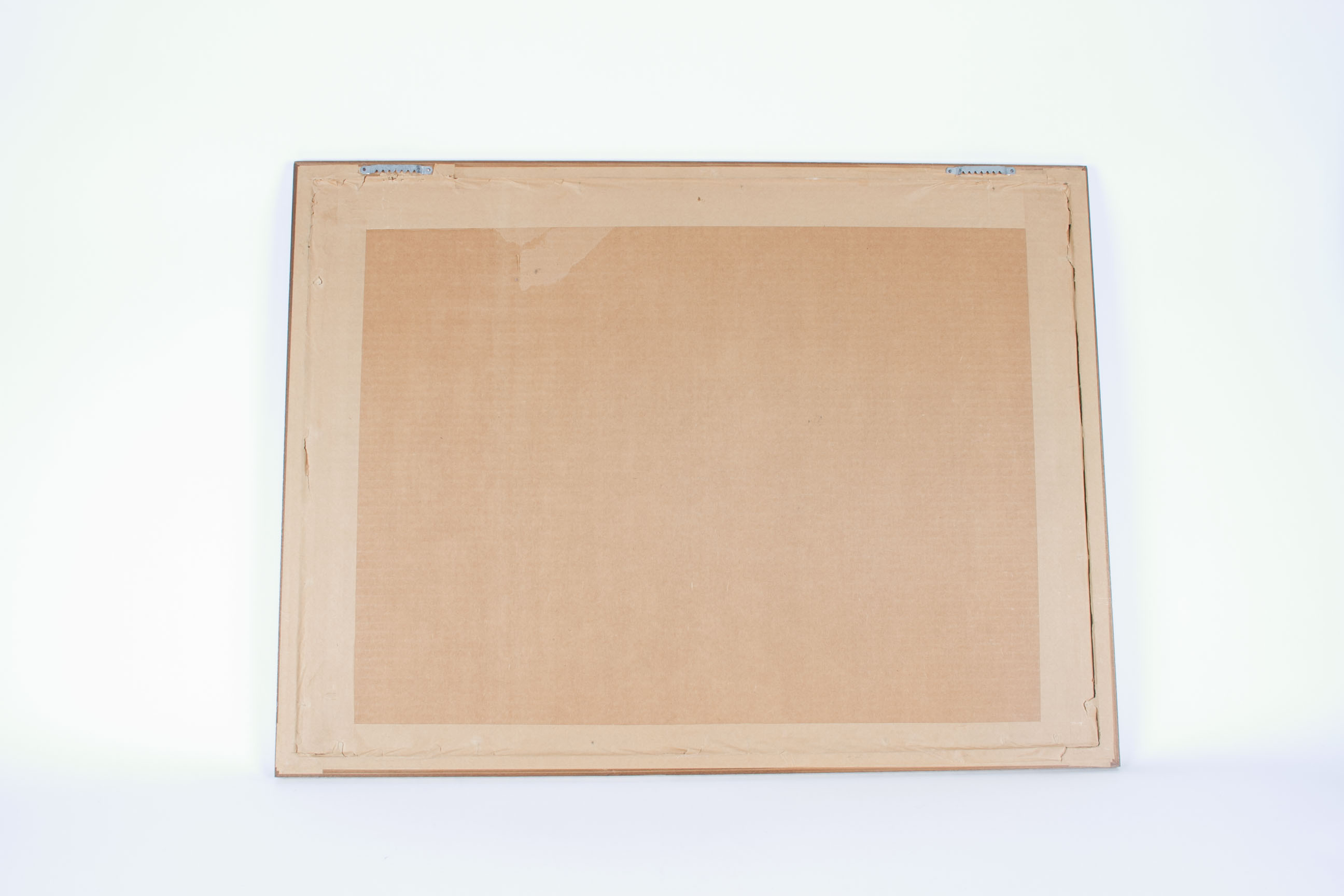 Cecilia M. T.  Suzuki "Uveites" Screen Print