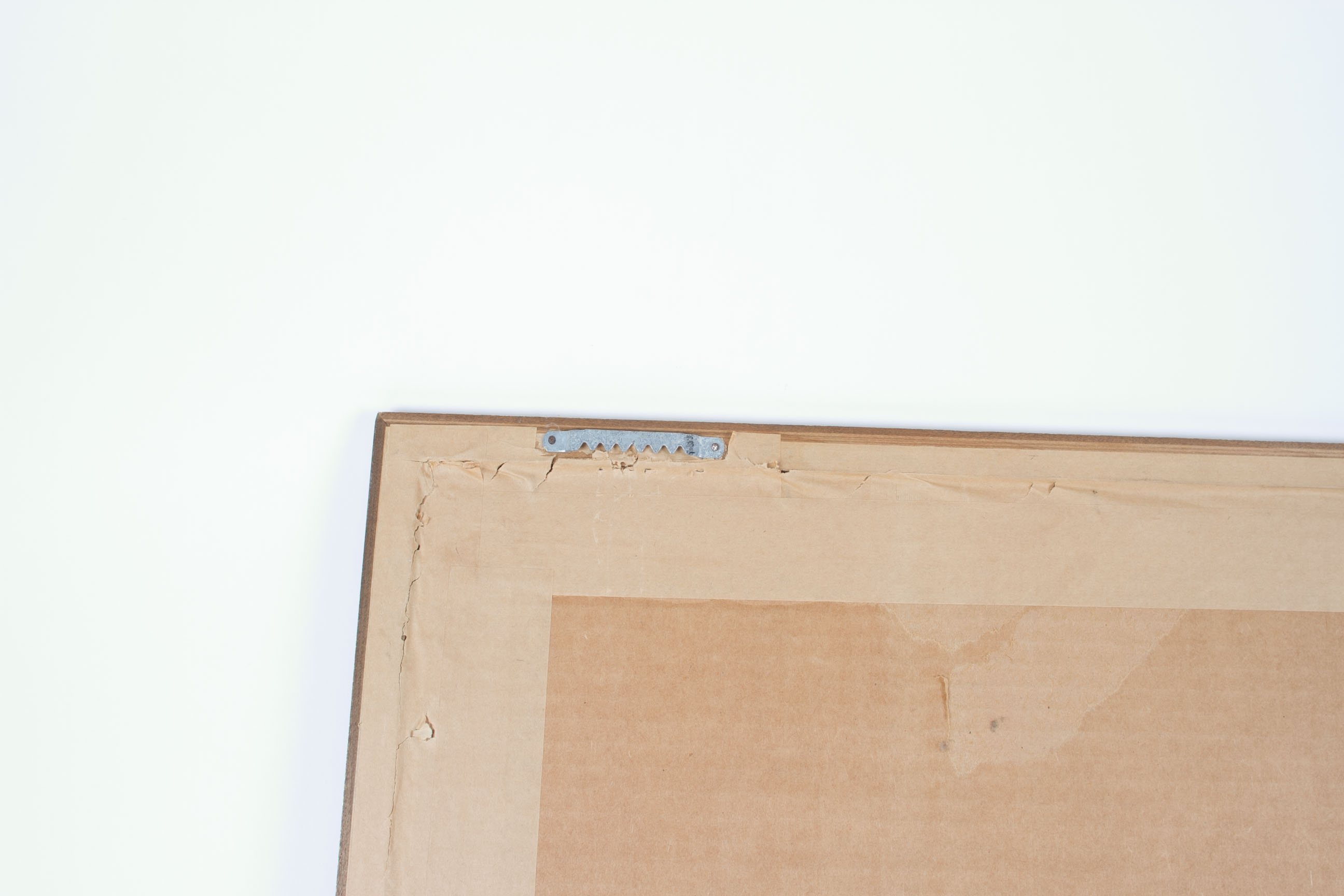 Cecilia M. T.  Suzuki "Uveites" Screen Print