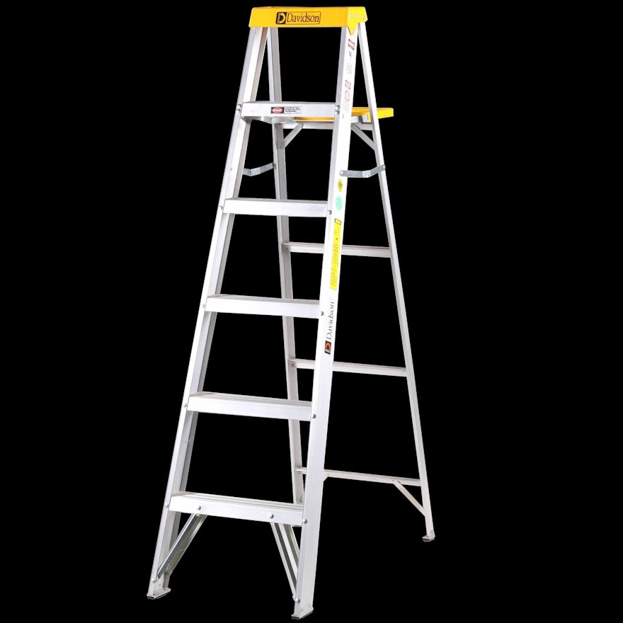 Davidson Stainless Steel Ladder