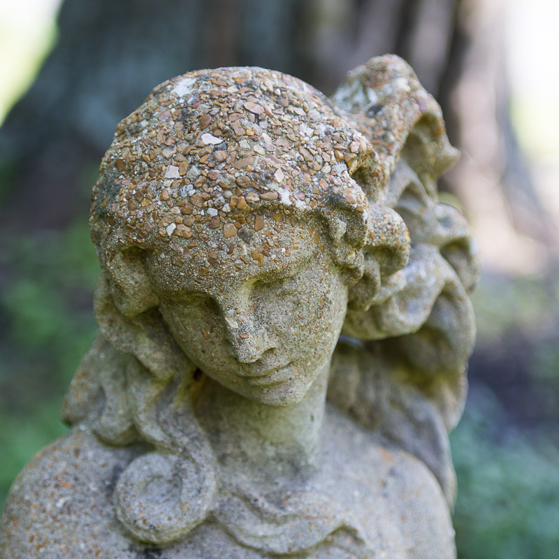 Concrete Garden Venus