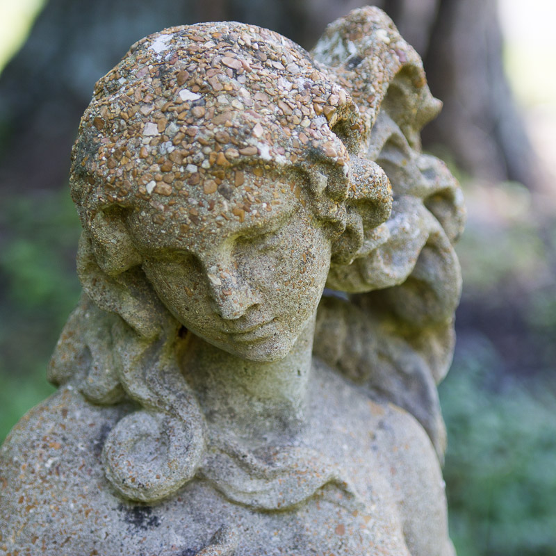 Concrete Garden Venus