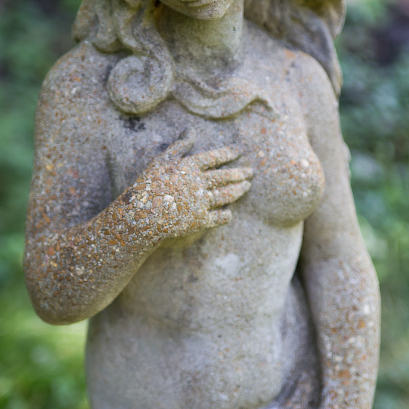 Concrete Garden Venus