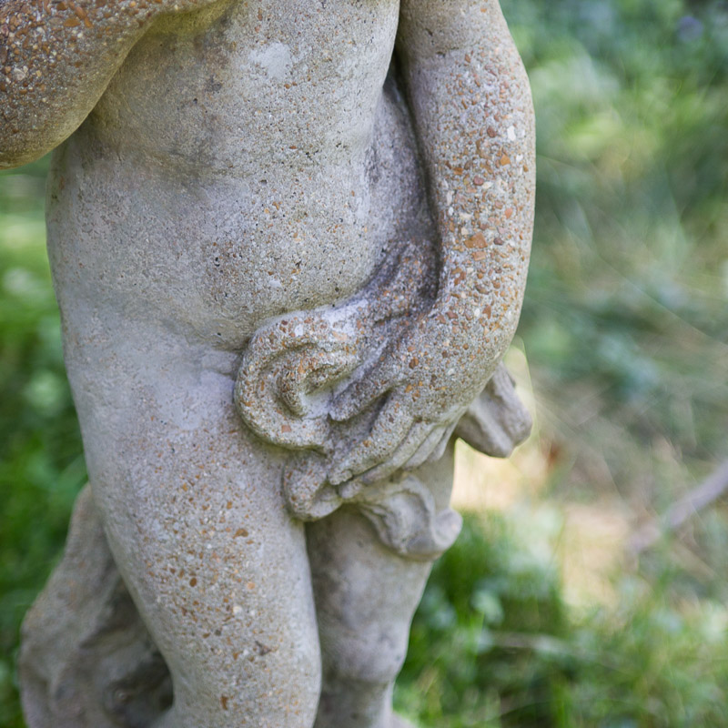 Concrete Garden Venus