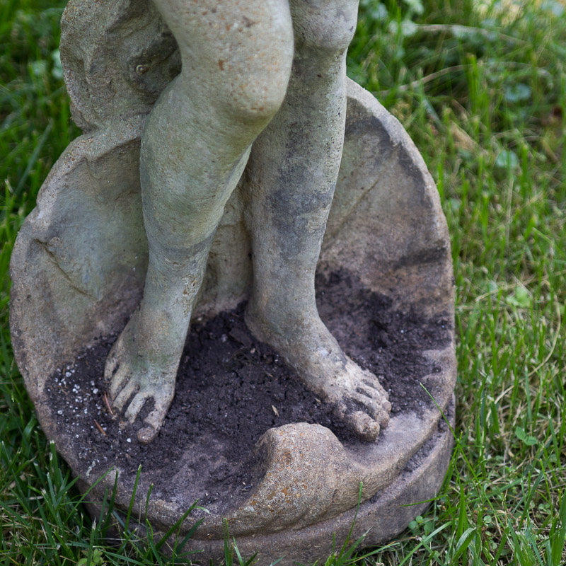 Concrete Garden Venus