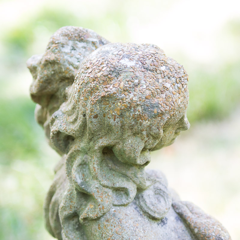 Concrete Garden Venus