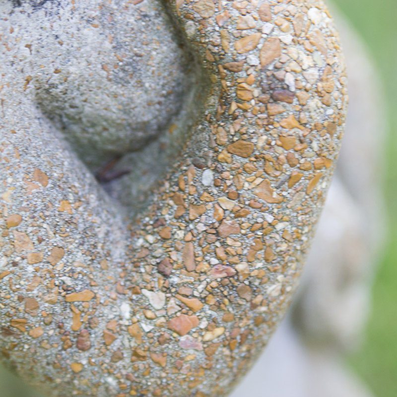 Concrete Garden Venus