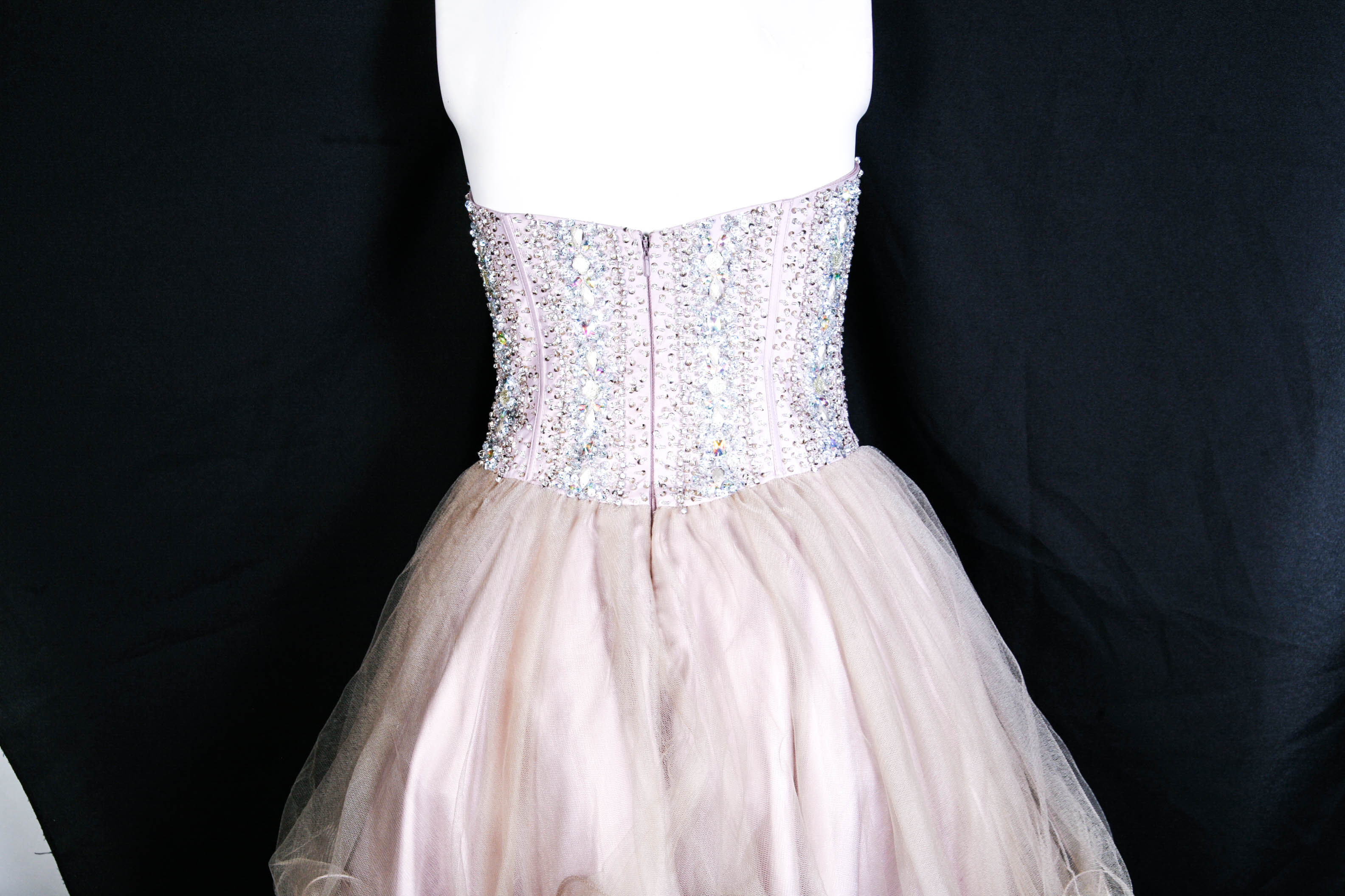 Terani Couture Beaded Dress with Tulle Skirt