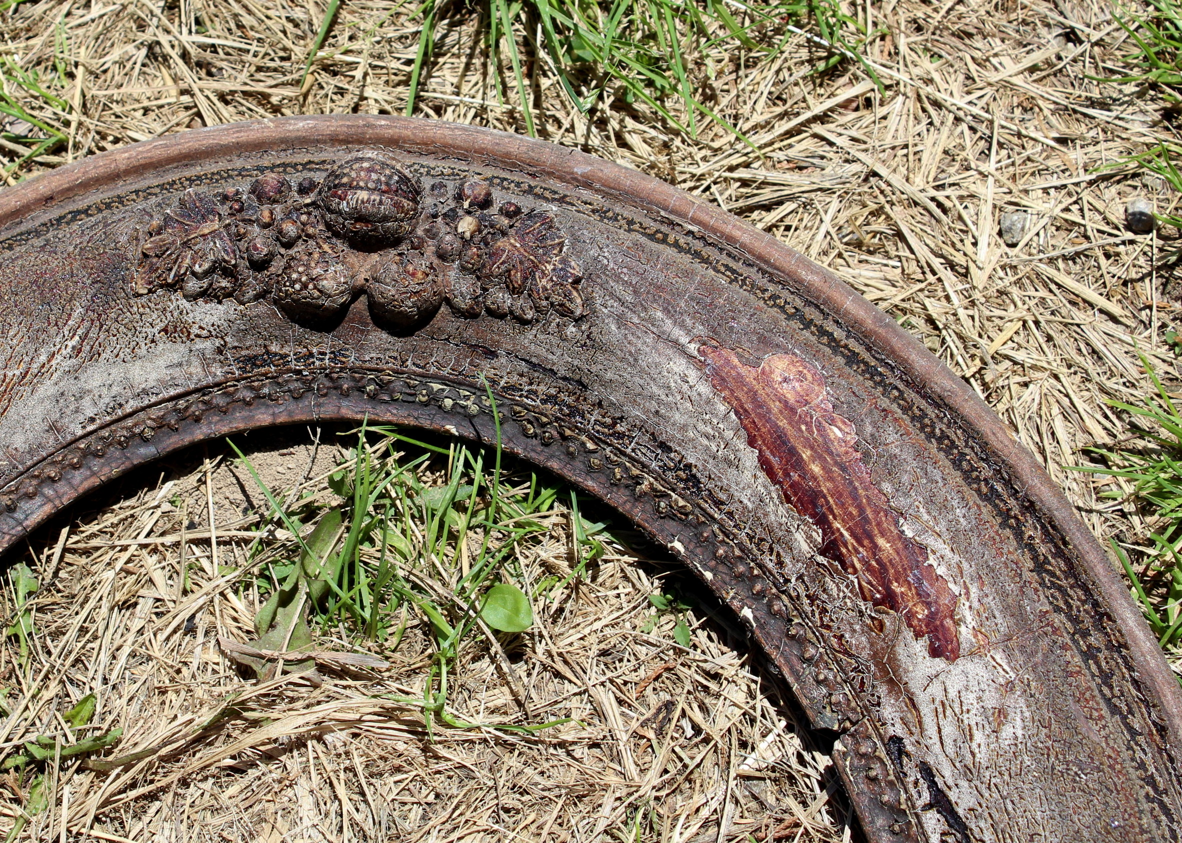 Antique Distressed Picture Frames