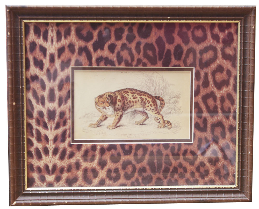 Collection of Wild Cat and Arch of Titus, Santa Maria Del Popolo Rose Lithographs