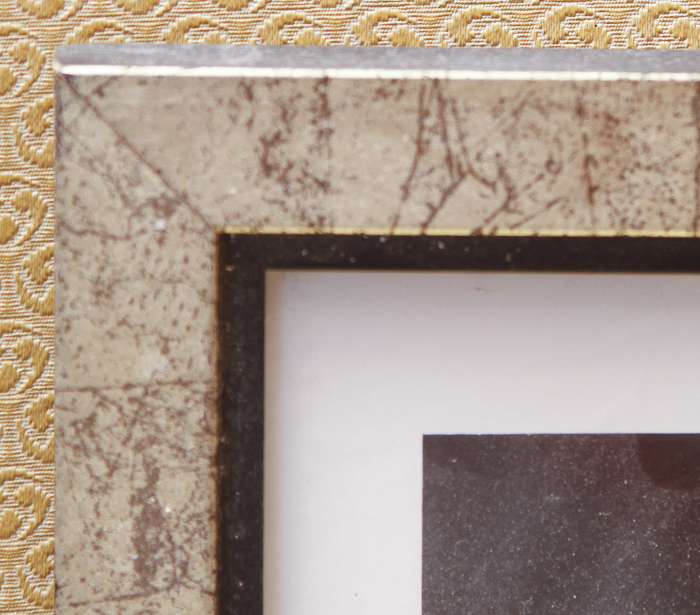 Collection of Wild Cat and Arch of Titus, Santa Maria Del Popolo Rose Lithographs