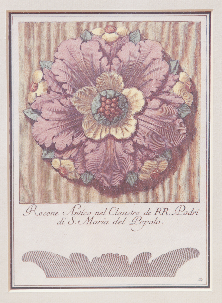 Collection of Wild Cat and Arch of Titus, Santa Maria Del Popolo Rose Lithographs