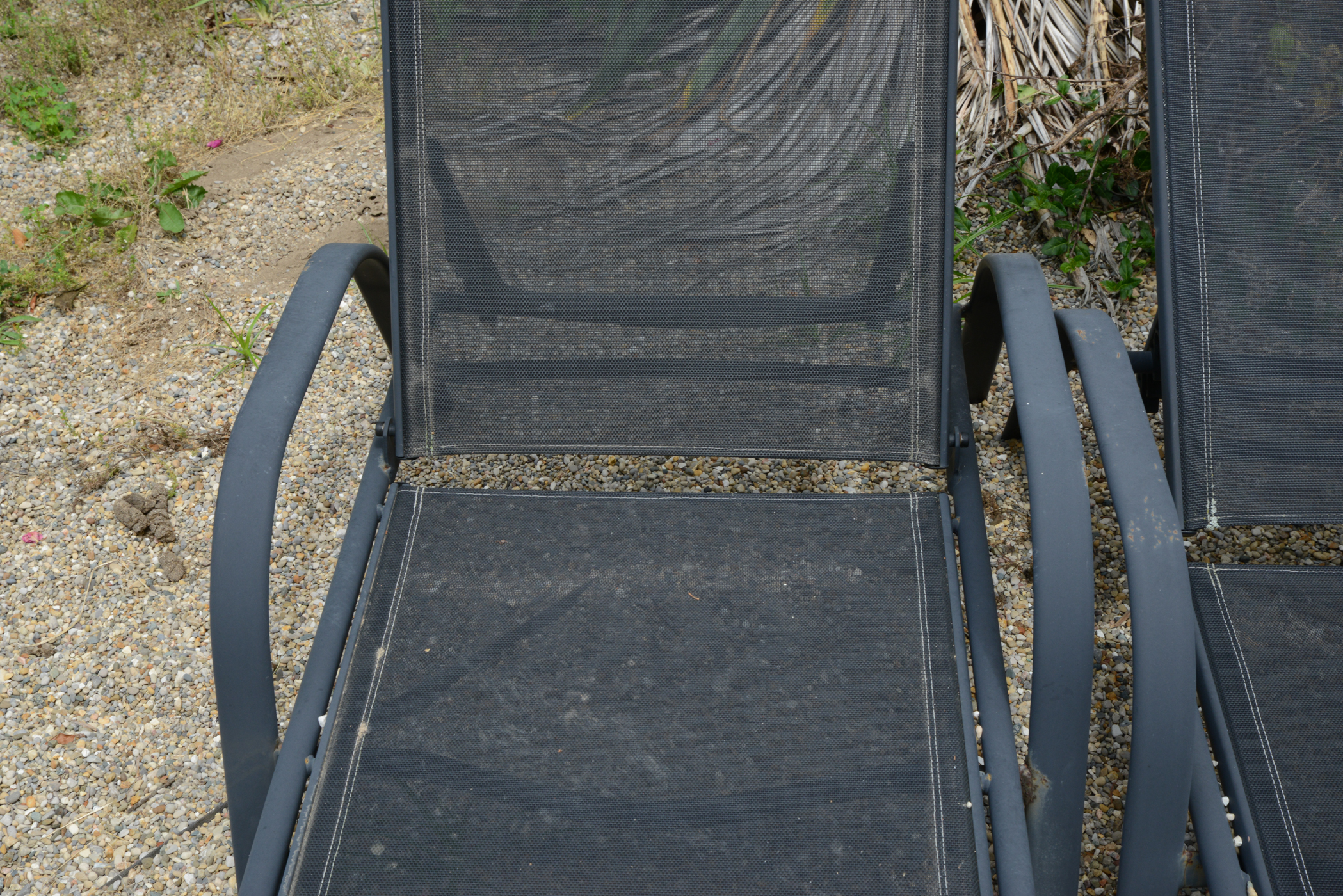 Pair of Black Chaise Lounge Chairs