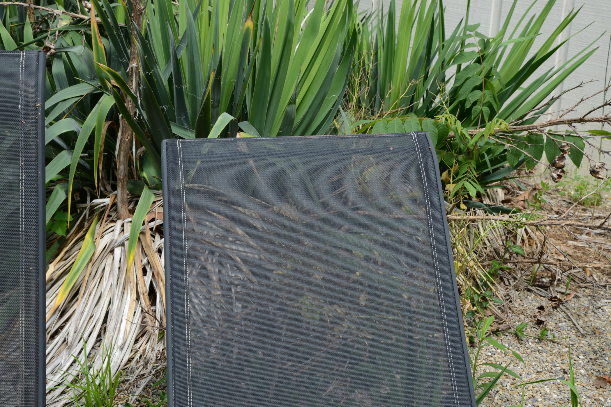 Pair of Black Chaise Lounge Chairs