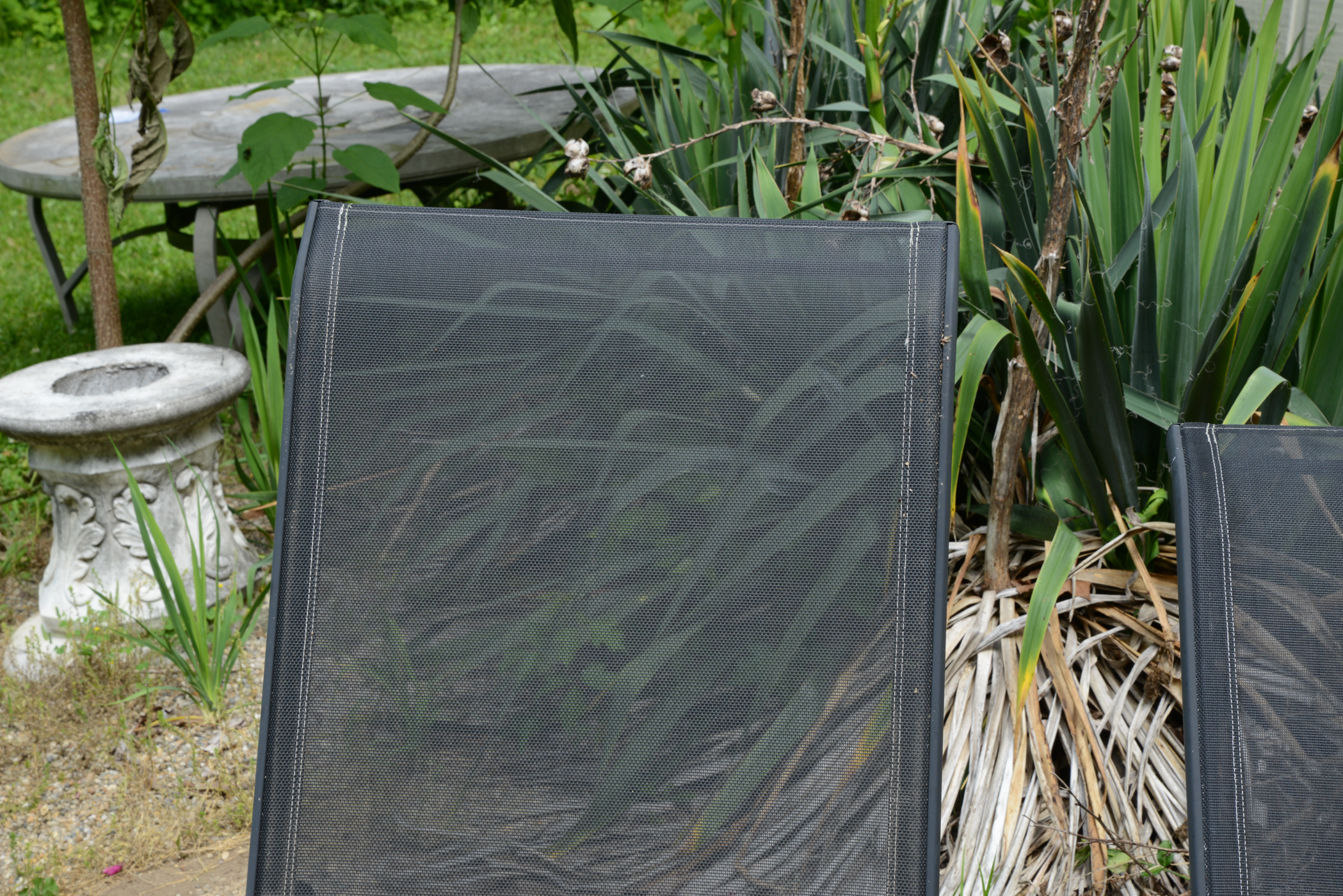 Pair of Black Chaise Lounge Chairs