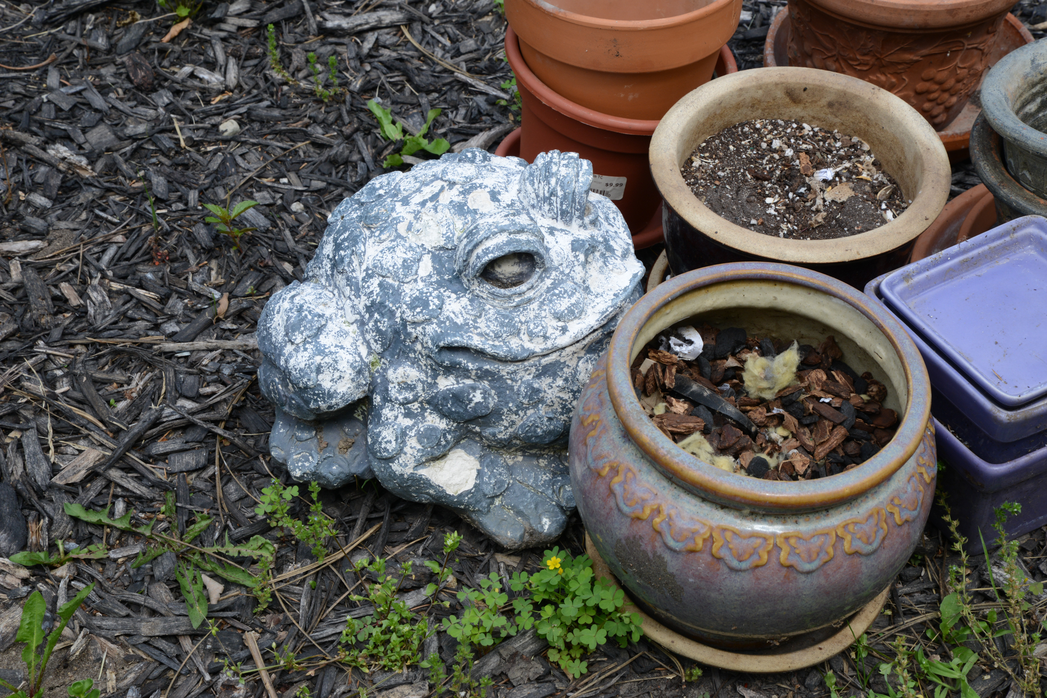 Garden Accessories