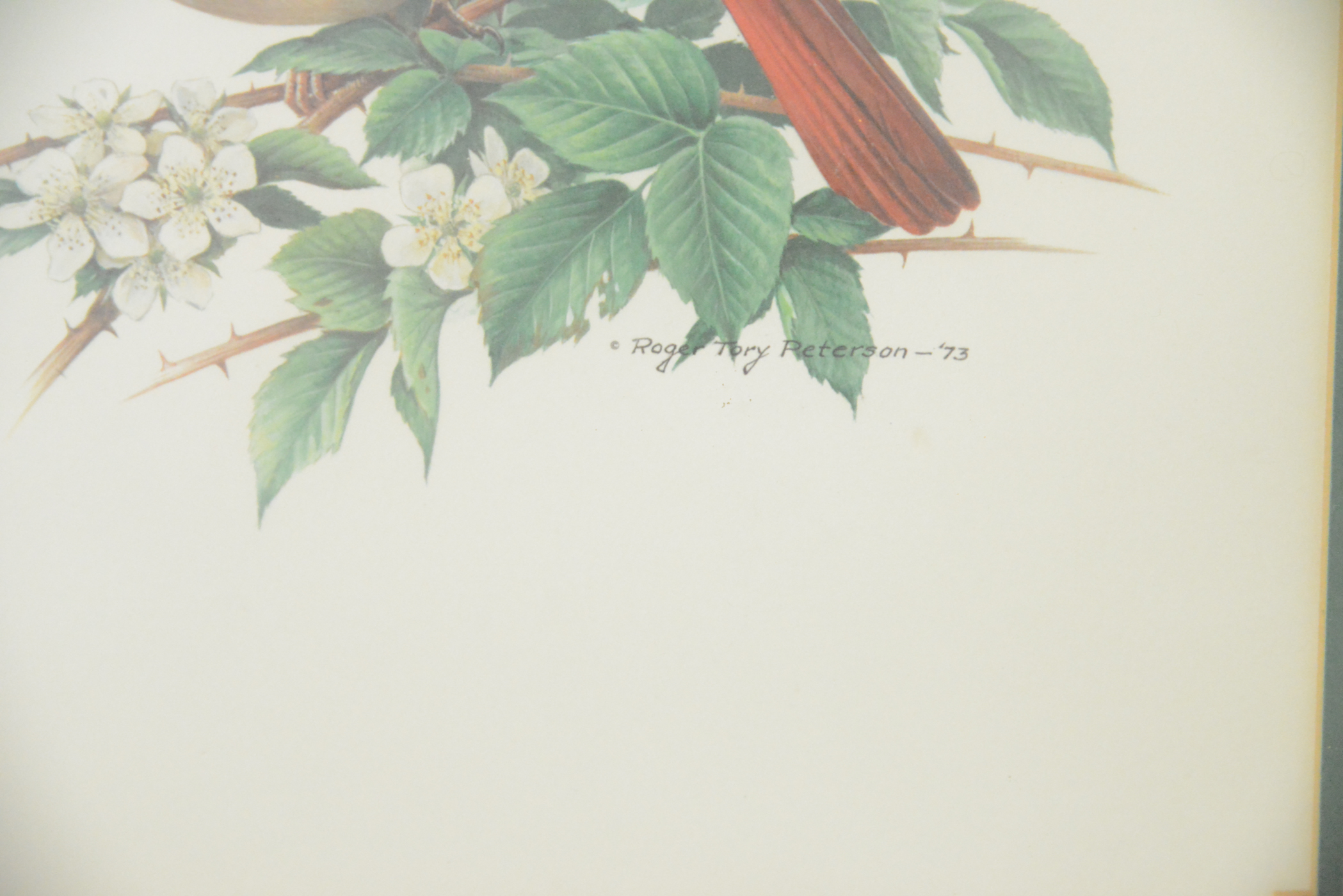 Framed Vintage Cardinal Offset Lithograph