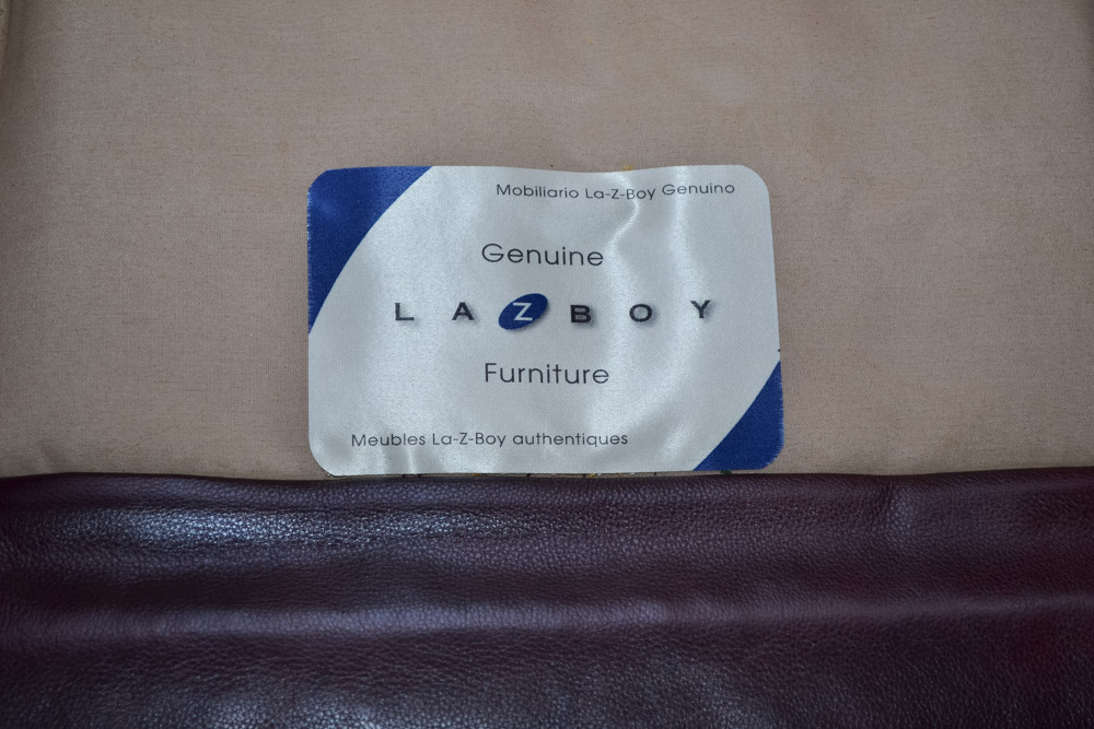 Lay-Z-Boy Buchanan High Leg Recliner with WovenWorkz Throw Blanket