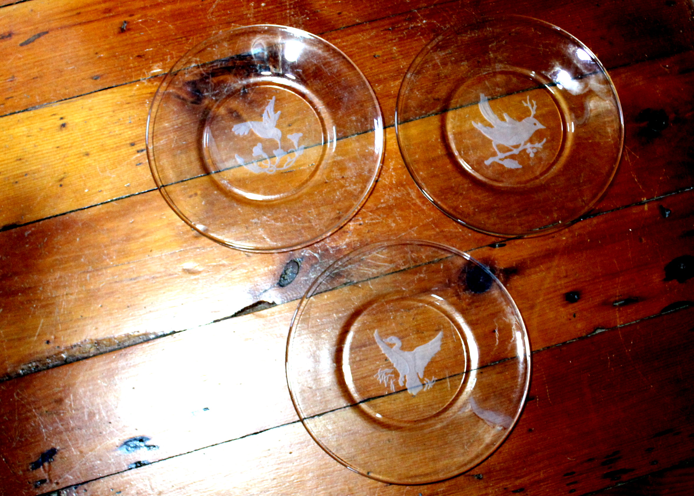 Etched Glass Bird Plates