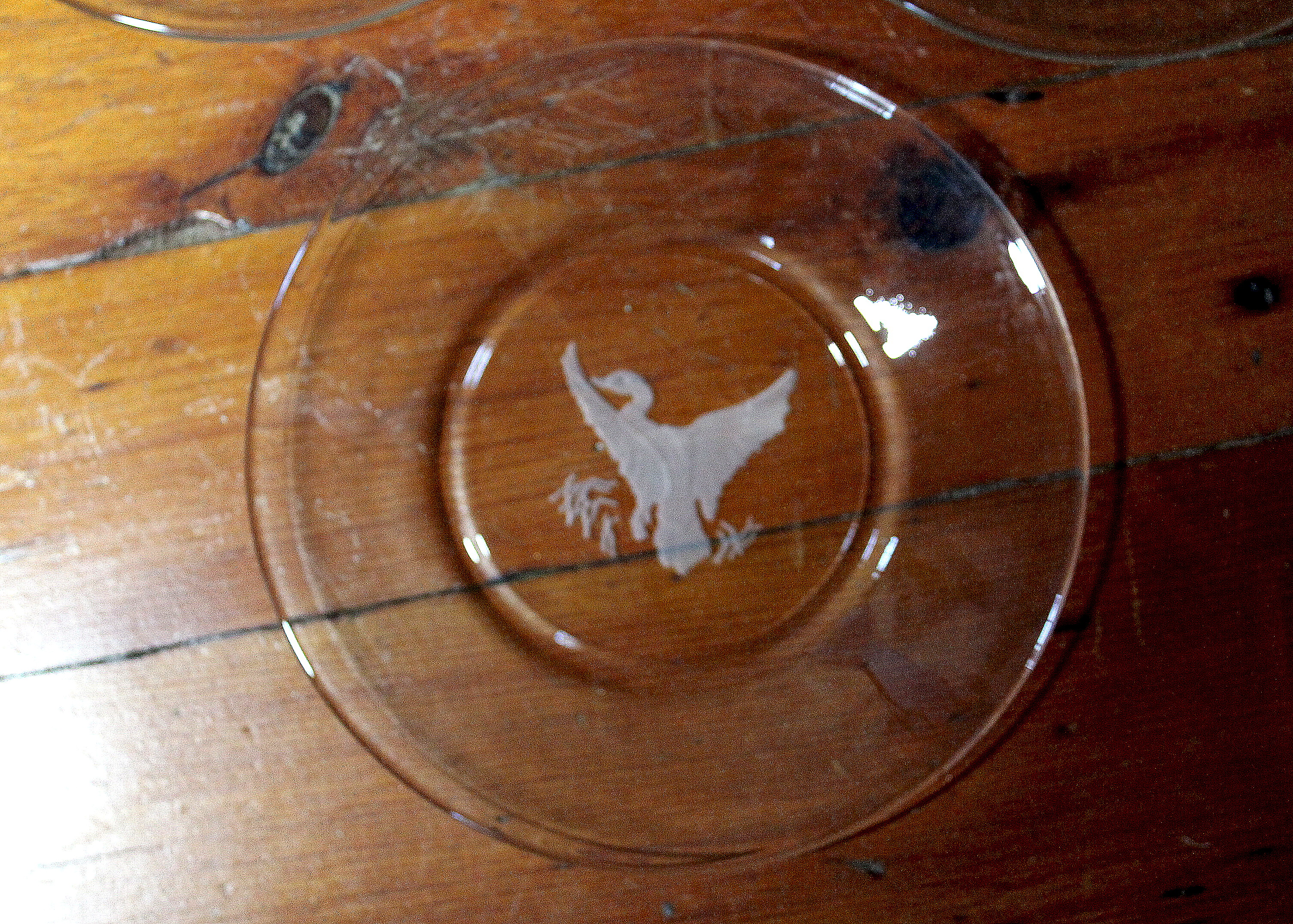 Etched Glass Bird Plates