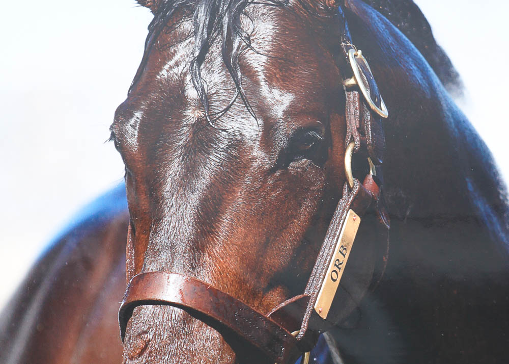 Art Photography Prints by Ted Tarquinio