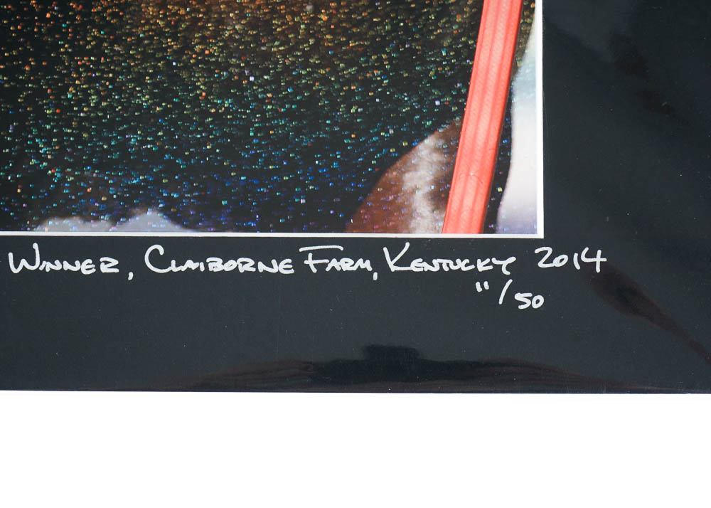 Art Photography Prints by Ted Tarquinio