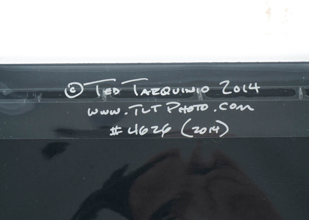 Art Photography Prints by Ted Tarquinio