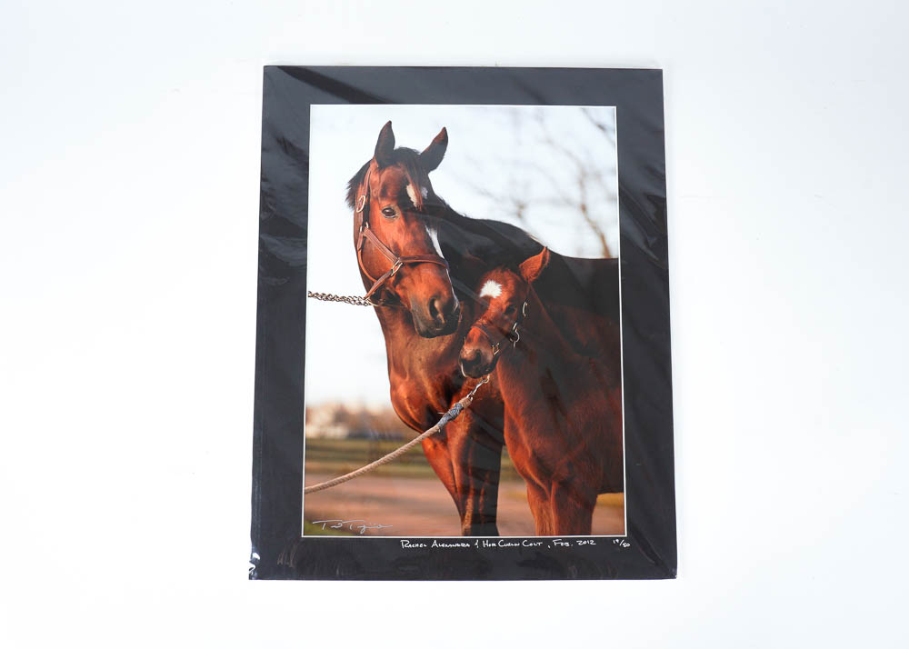 Art Photography Prints by Ted Tarquinio