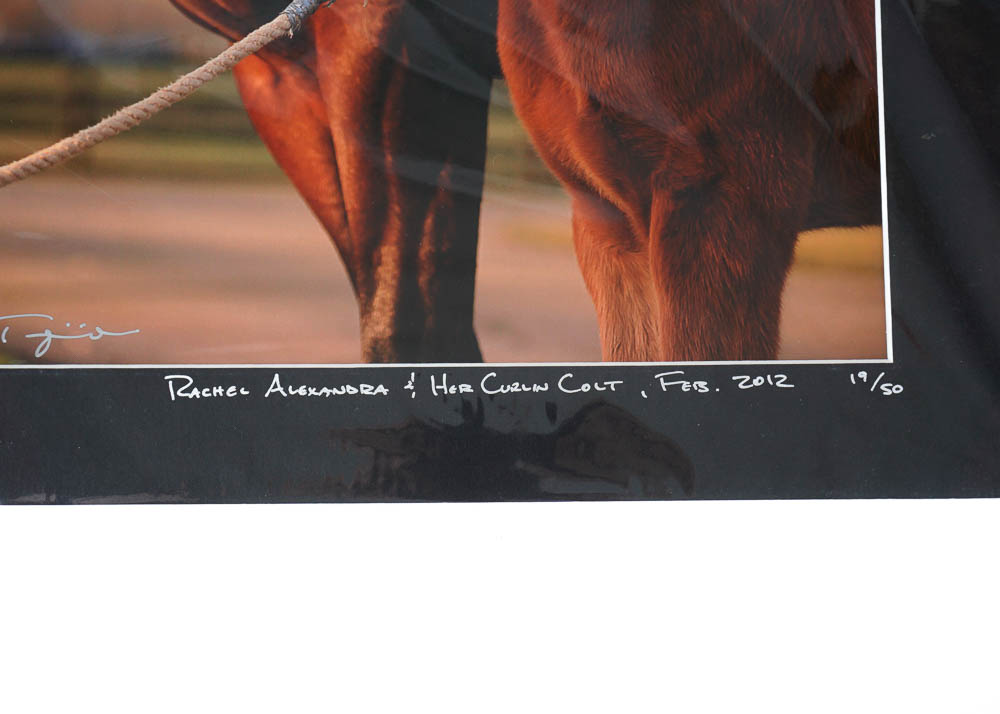 Art Photography Prints by Ted Tarquinio