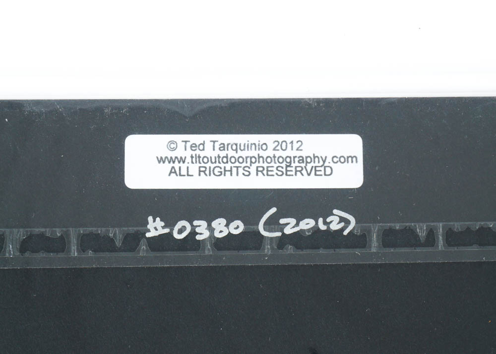 Art Photography Prints by Ted Tarquinio