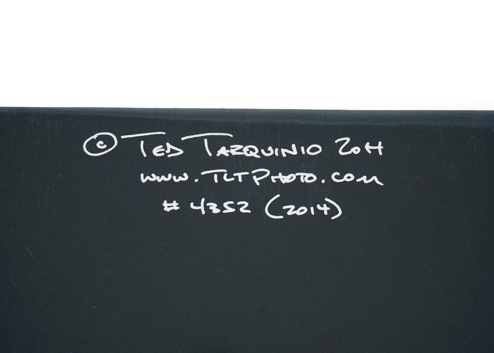 Art Photography Prints by Ted Tarquinio