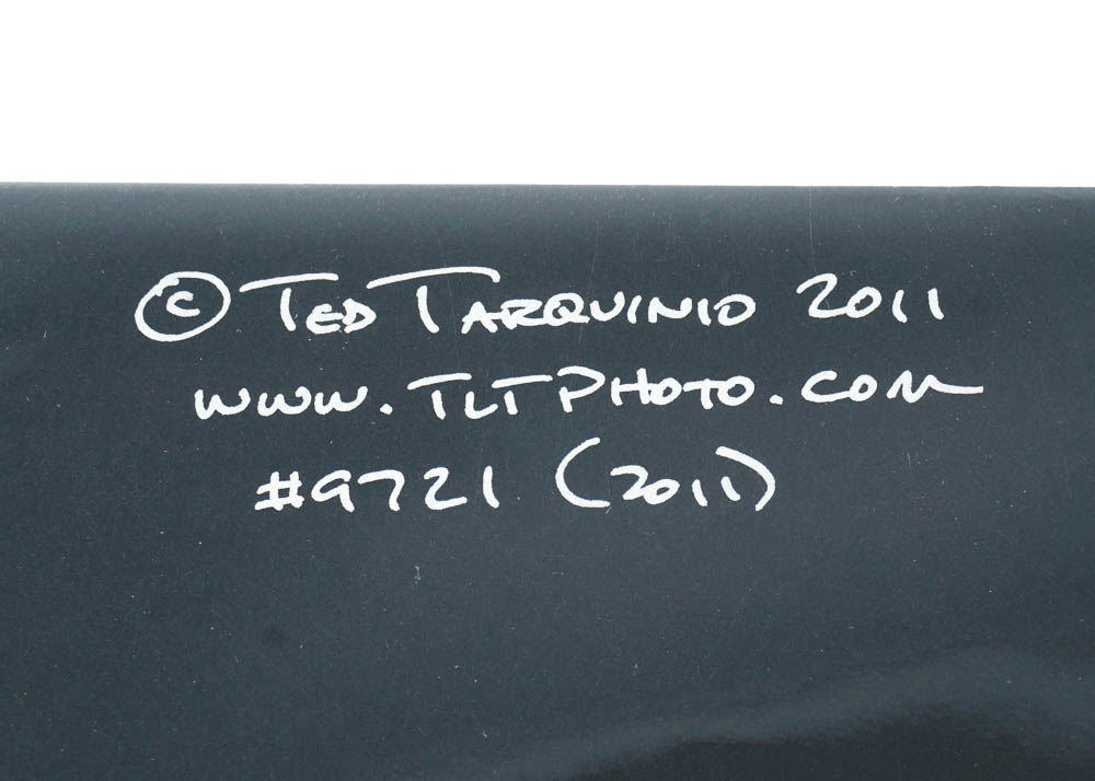 Art Photography Prints by Ted Tarquinio