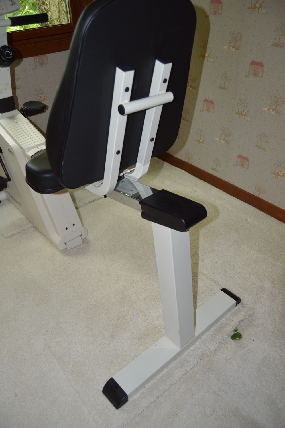 Vision Fitness R2000 Recumbent Bike