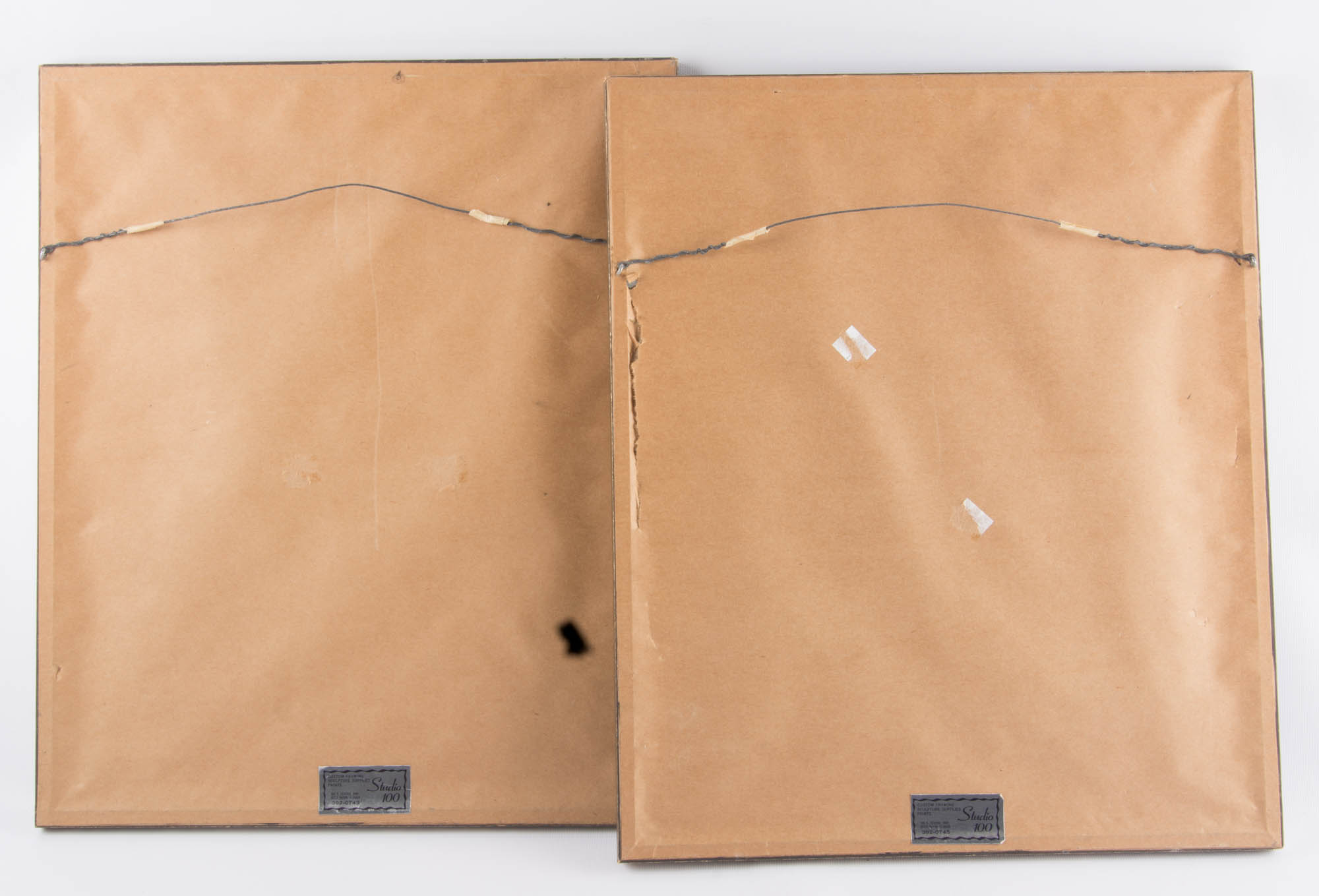 Trio of Flora and Fauna Framed Prints