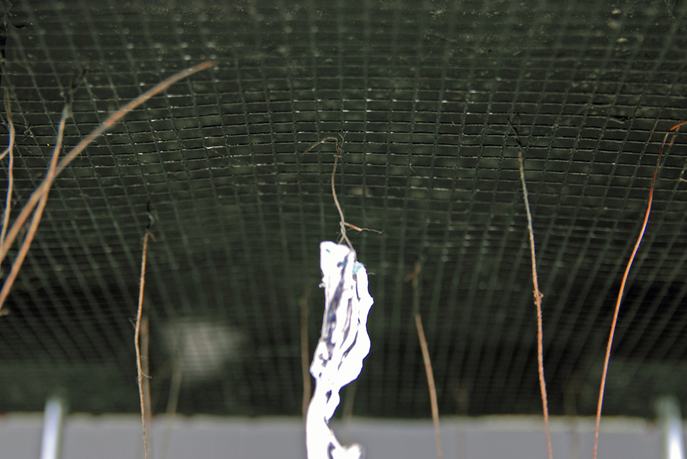 Rima Schulkind Plaster and Clay Sculpture