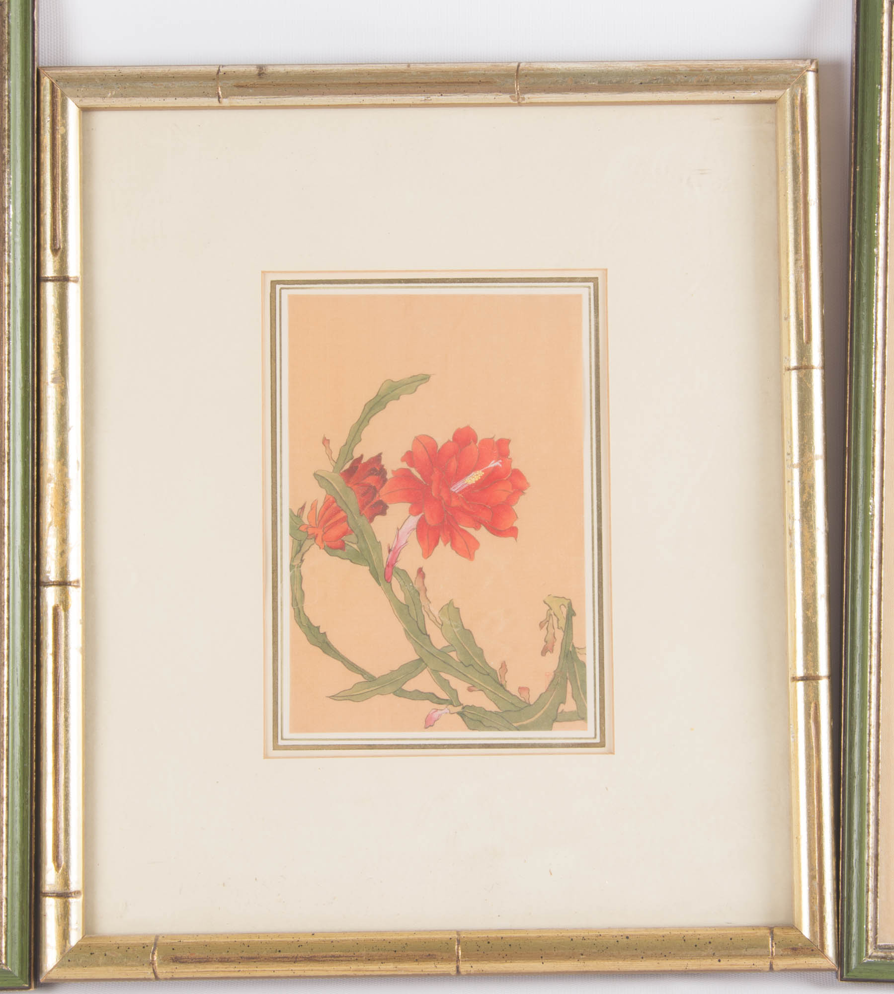 Trio of Flora and Fauna Framed Prints