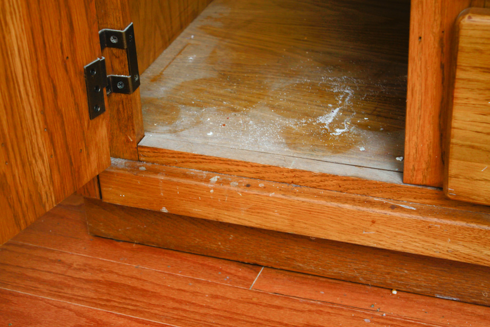 Modern Oak China Cabinet