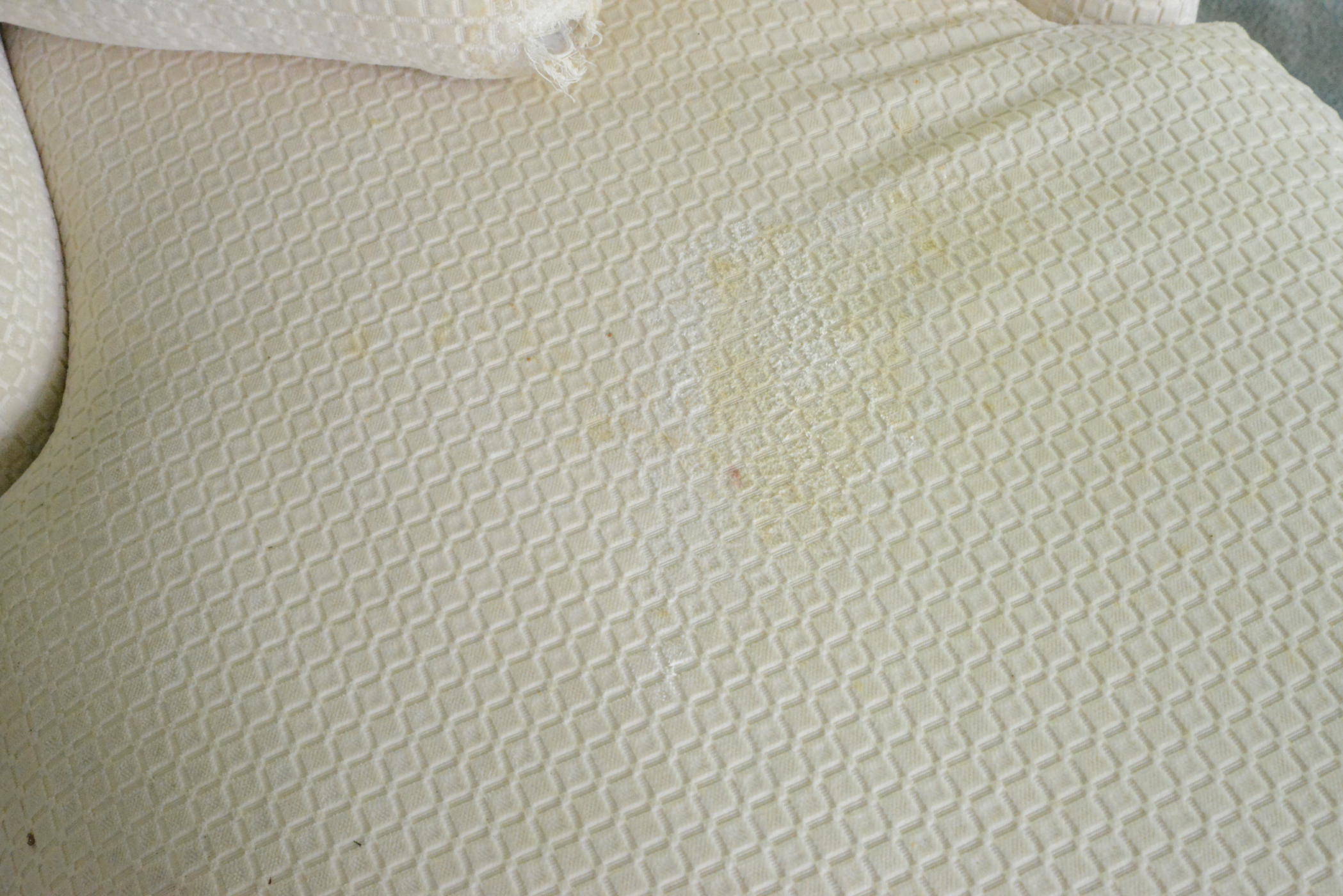 Upholstered Chaise Lounge