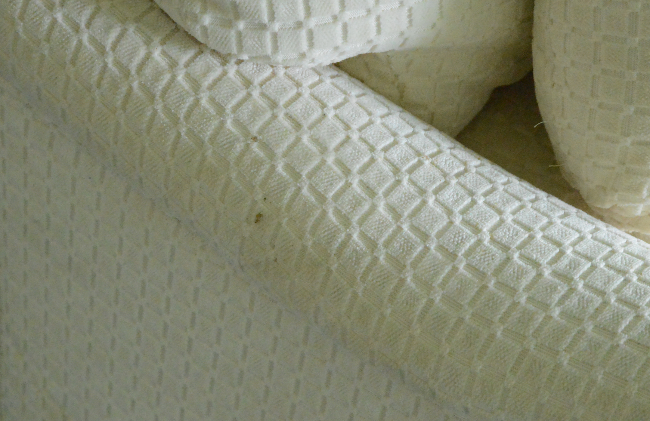 Upholstered Chaise Lounge