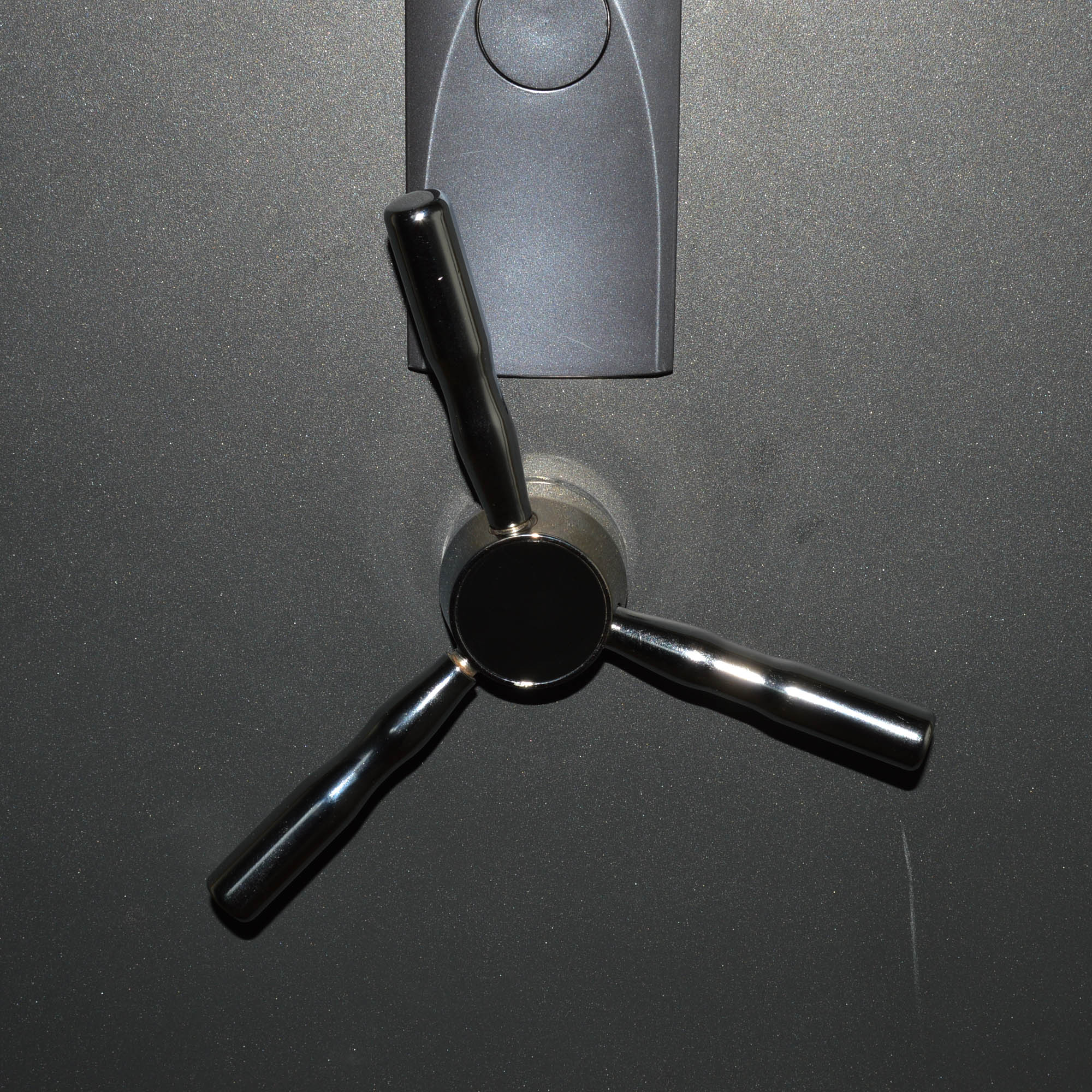 Protector by First Alert Gun Safe