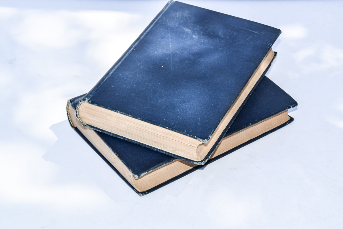 Antique "Les Miserables" Novel by Victor Hugo in Two Volumes