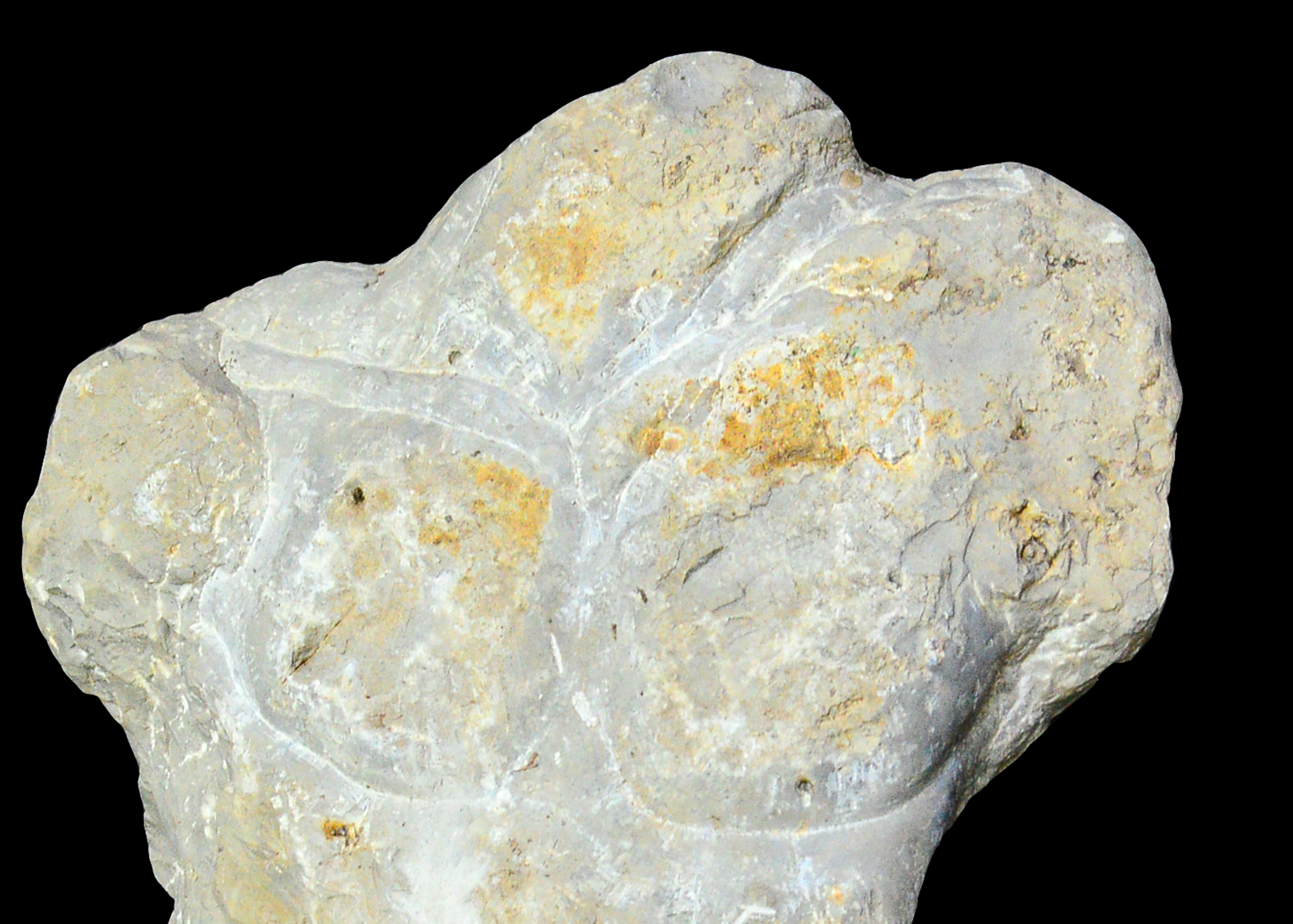 Handcarved Stone Torso Sculpture