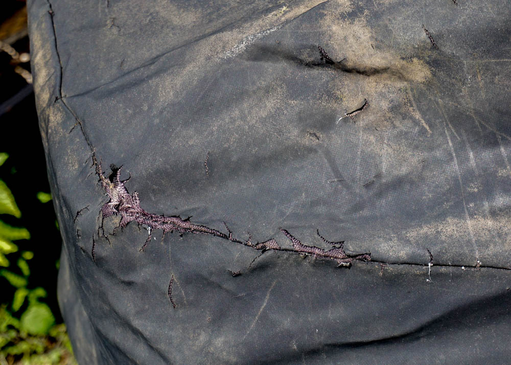 Weber Summit Grill with Sear Station