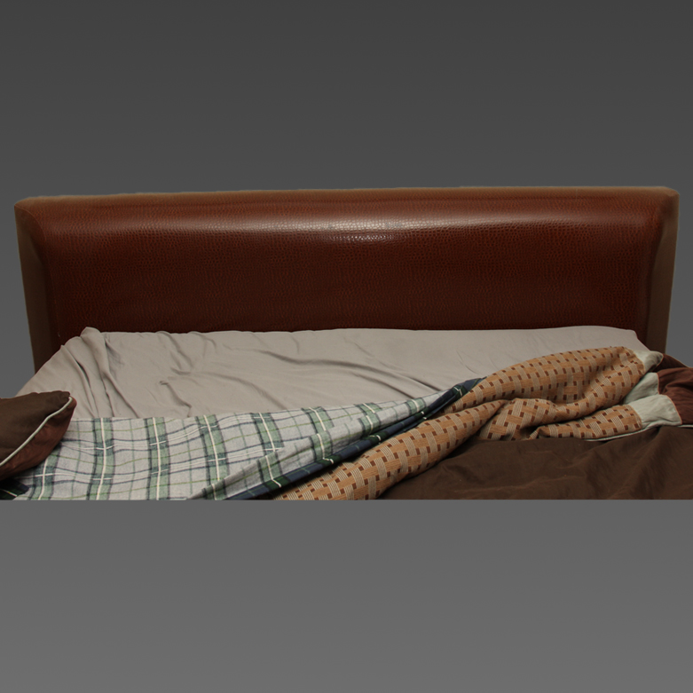 Contemporary Modern Bed Frame