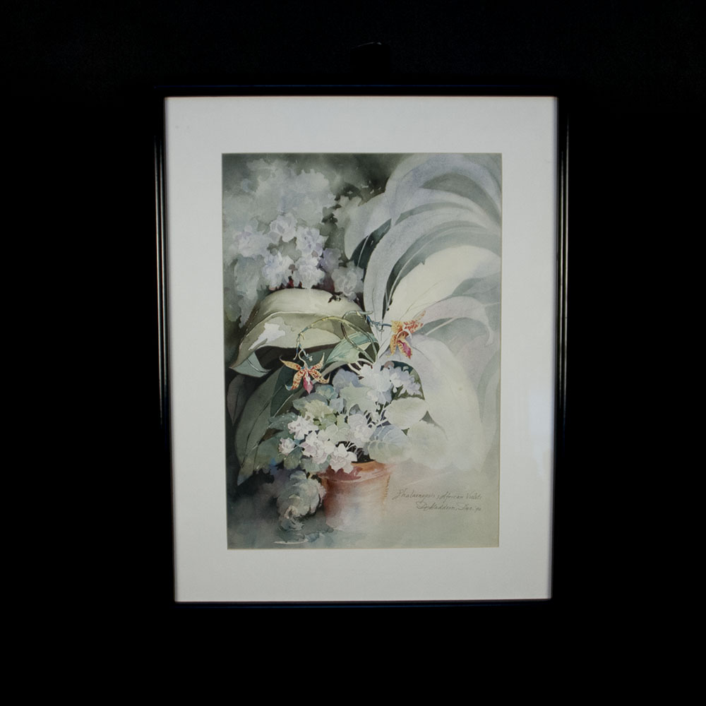 Maddern "Phalaenopsis: African Violet" Watercolor