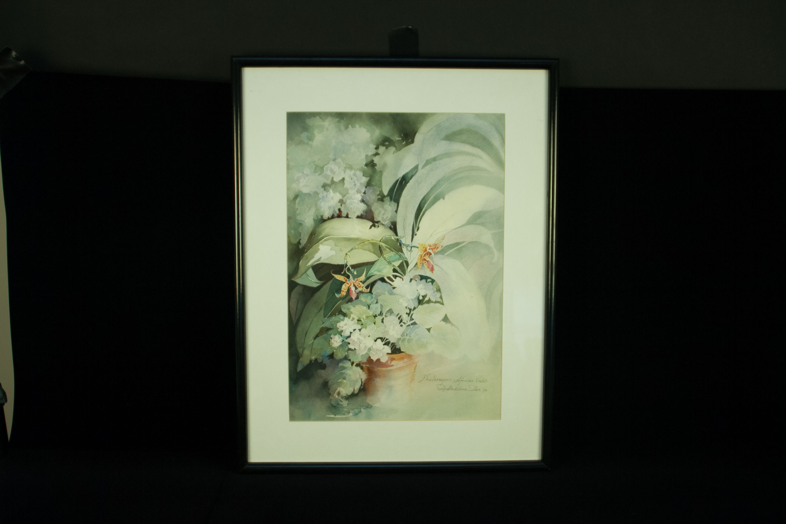 Maddern "Phalaenopsis: African Violet" Watercolor