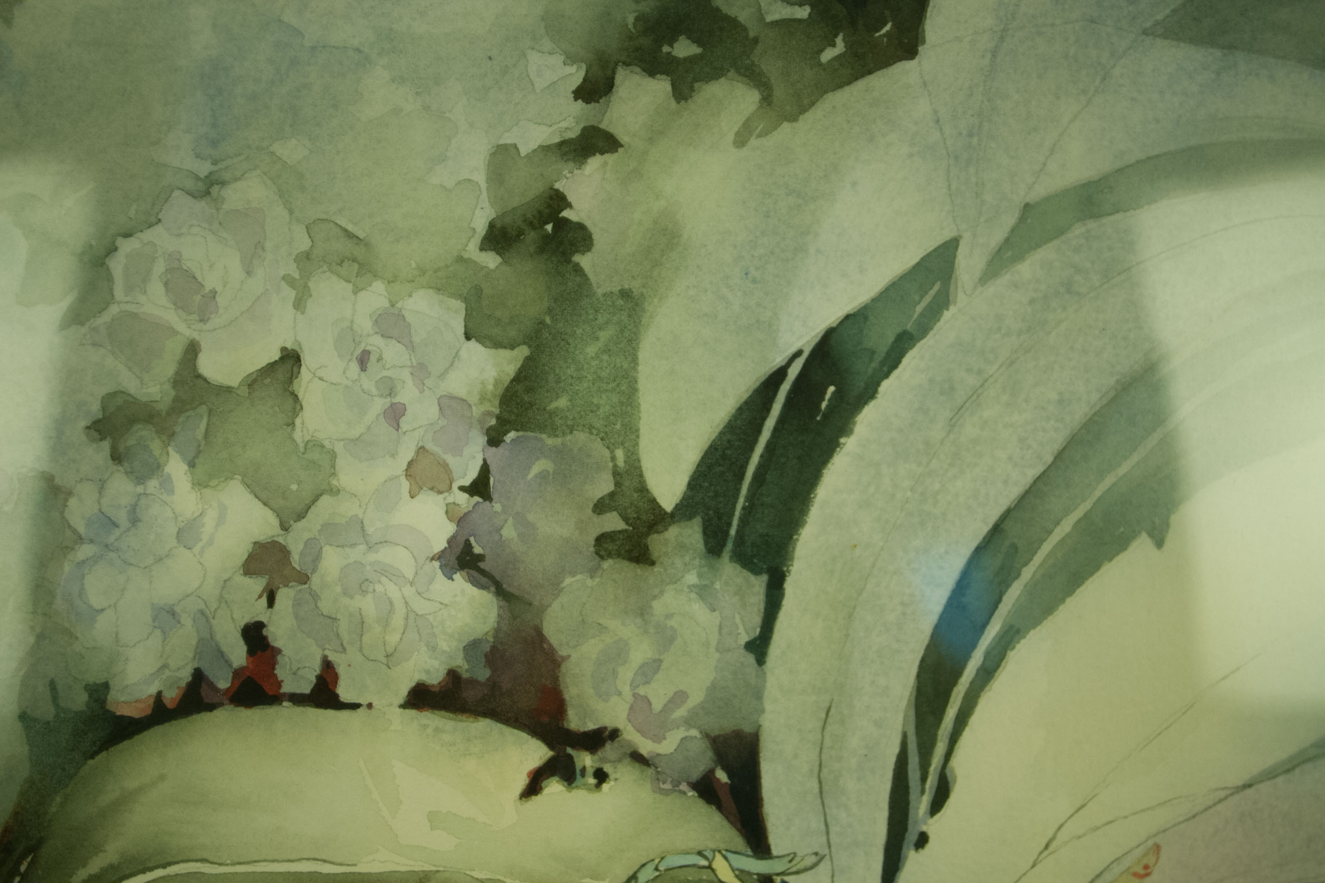 Maddern "Phalaenopsis: African Violet" Watercolor